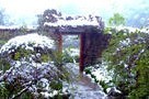行走在雨季花园里