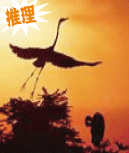 昊鸹惊梦