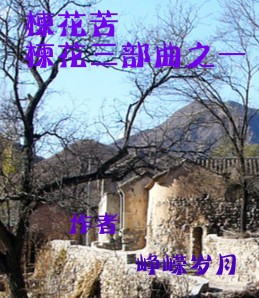 楝花苦
