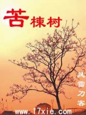 苦楝树