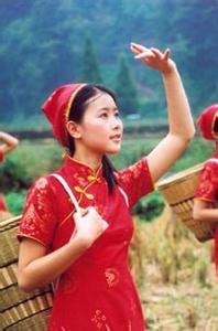 大山里飞出的金凤凰