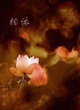 爱恨俩相依