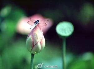 归零