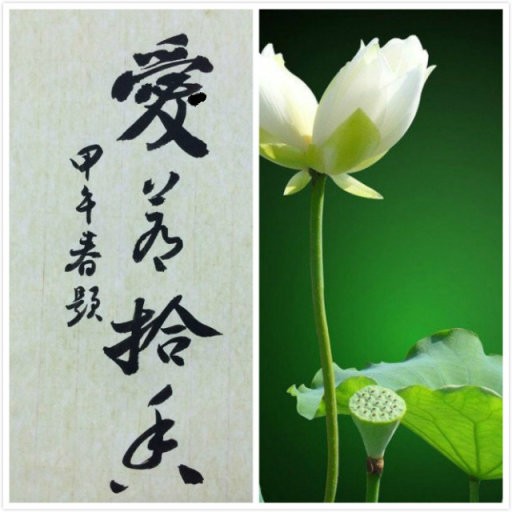 愛若拾香