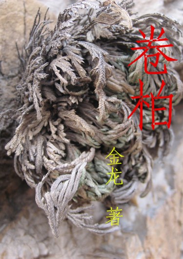 卷柏