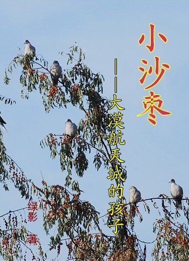 小沙枣