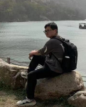 清风垂柳