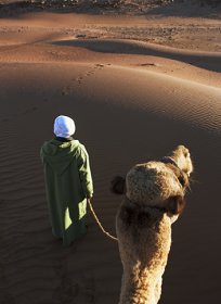 ［平民散文］男人.骆驼