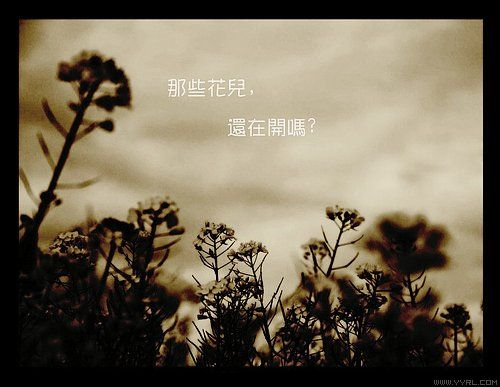 用悲伤纪念写给某友pc