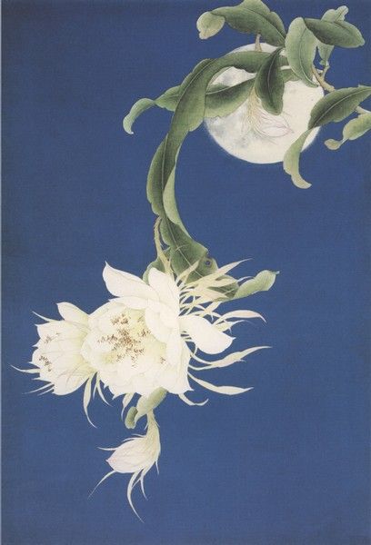 江山诗歌咏昙花等九章新韵