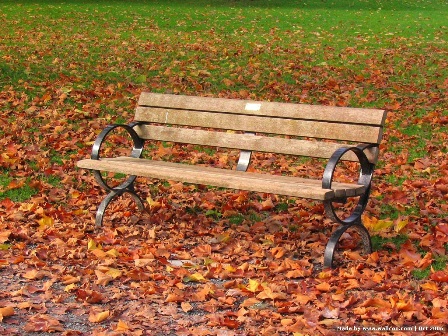 秋天中，公园里的长椅