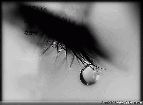 绿野荒踪散文百家情何以堪