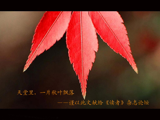 【心灵·散文|司马林晚专栏】天堂里，一片秋叶飘落