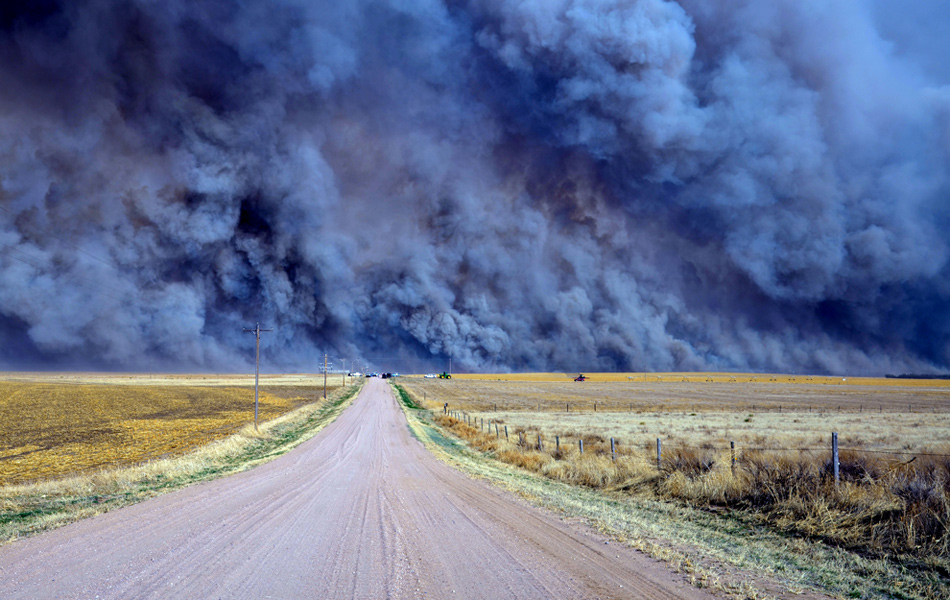 小说】无土也安