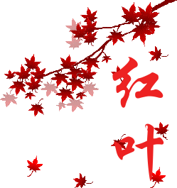 249_265gif 动态图 动图