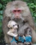 人与猴