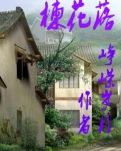 楝花落