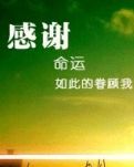 春天的梅花日记
