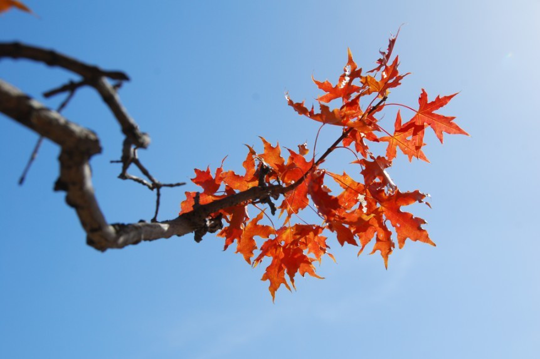 春秋世间真有爱情吗散文