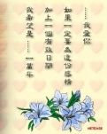 峰华雪玉