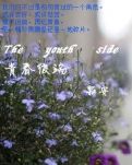 青春彼端