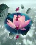 唐宫情事