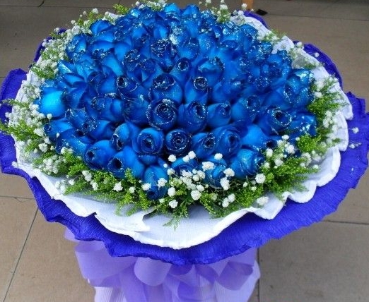 雅韵天天都是情人节散文