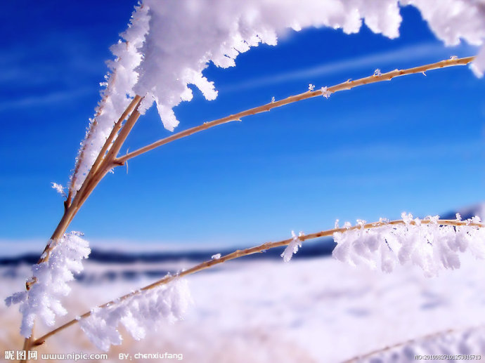 雪上什么什么成语_雪上一支蒿是什么药(2)