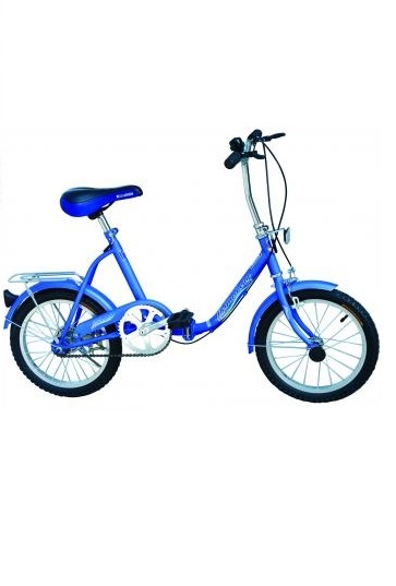 【江南】蓝色自行车（散文）