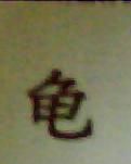 龟公凹