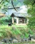 搜狐大观园