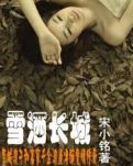 雪洒长城