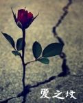 爱之坟