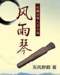 风雨琴