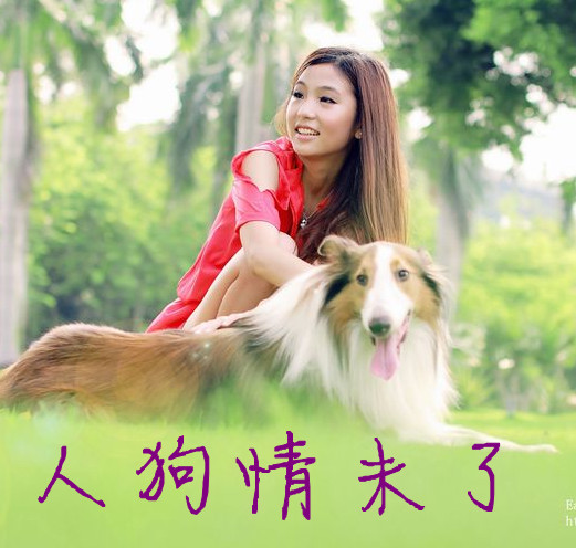 逝水流年小说人狗情未了