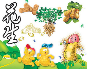 【筐篼】花生也要有梦想(散文,外一章)
