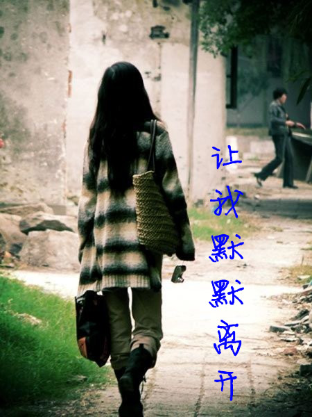 流年让我默默离开小说