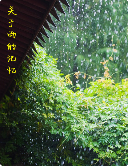 『逝水流年*散文』关于雨的记忆（三章）