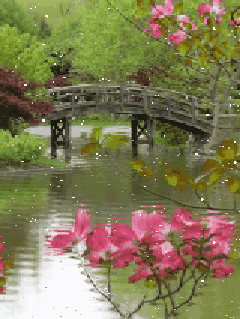 240_319竖版 竖屏gif 动态图 动图