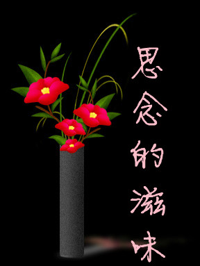 逝水流年散文思念的滋味外一篇