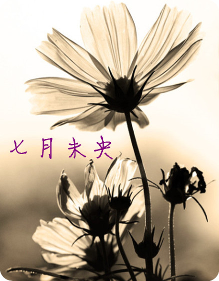 逝水流年散文七月未央