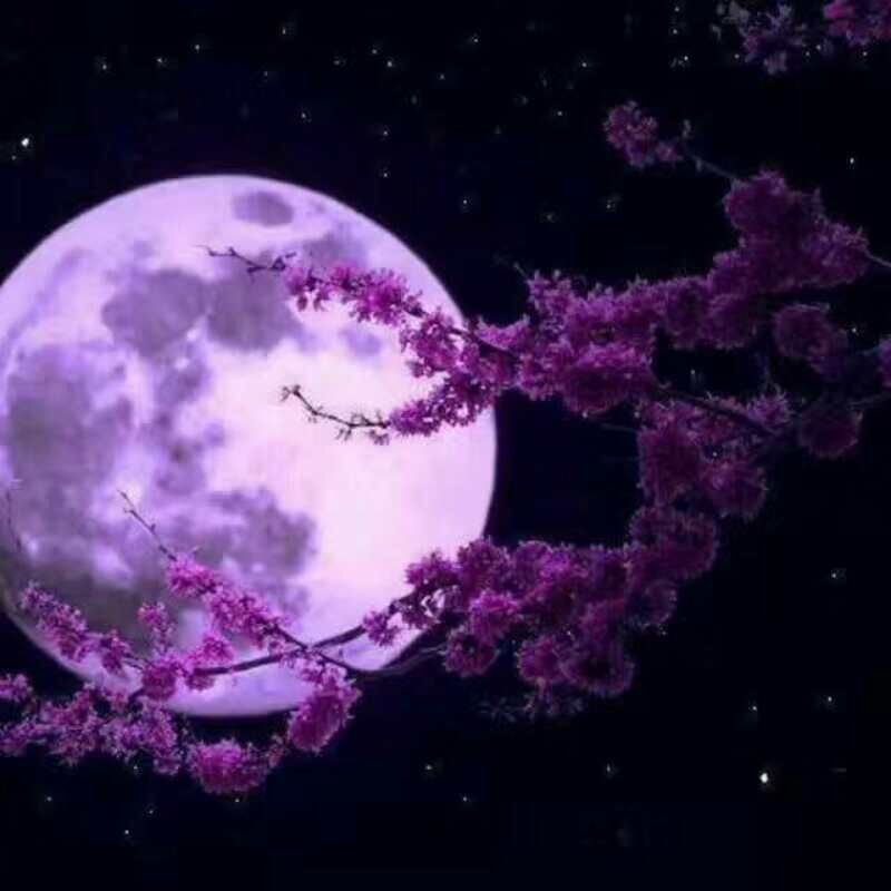 【如云】万物睡去，我与月光一起苏醒（组诗）