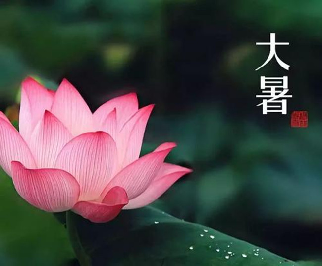 【八一】时令之趣——大暑（散文）