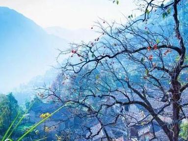 【八一】朱老六脱贫记（小说·家园）