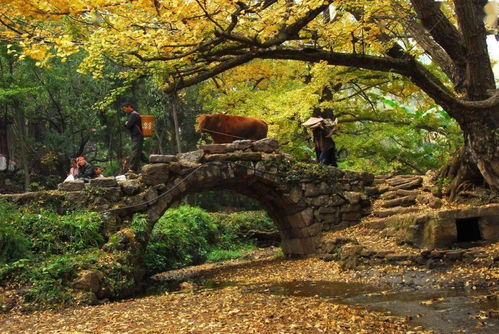 【八一】乡村印象（组诗）