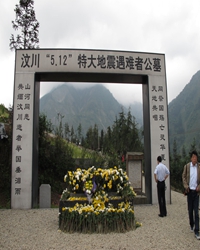 一束黄花祭亡魂