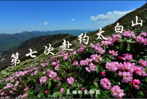 【时光】第七次赴约太白山（散文）