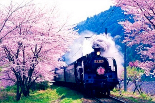 【流年】春天的火车（小说）