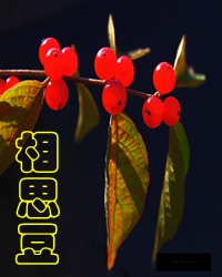 相思在天涯