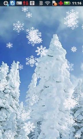 【军警】向岁月讨一片雪花的美（散文）